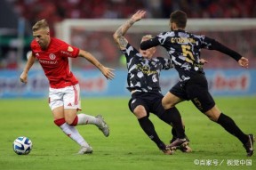 易游体育平台-佛罗伦萨惨败，陷入降级区深不可测的简单介绍