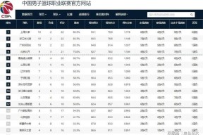 易游体育官网-山东队力克山西队，豪取连胜纪录的简单介绍