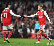 阿尔艾因球迷疯狂庆祝，期待下一轮表现的简单介绍