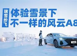 佩莱里亚空降京城,亚泰转会传言再起风云的简单介绍 佩莱里亚空降京城,亚泰转会传言再起风云的简单介绍